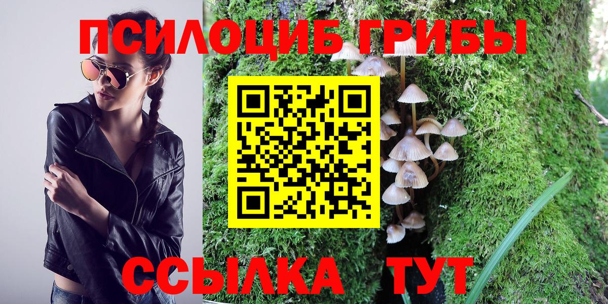 Галлюциногенные грибы мухоморы Урюпинск