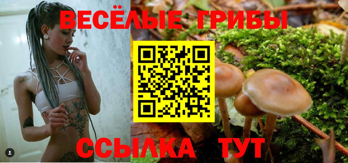 Галлюциногенные грибы MAGIC MUSHROOMS  Вход с VPN  Урюпинск  Псилоцибиновые грибы Cubensis 